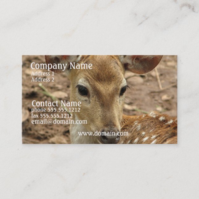 Bambi Deer Business Card (Front)
