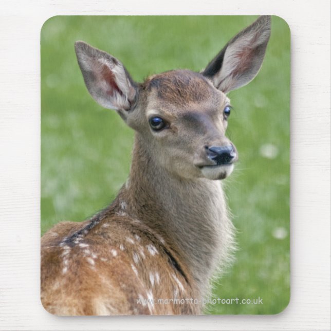 Bambi Mousemat (Front)