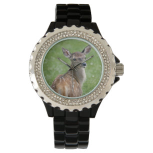 Bambi Watch