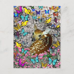 Bambina the White-Tailed Fawn in Butterflies Postcard