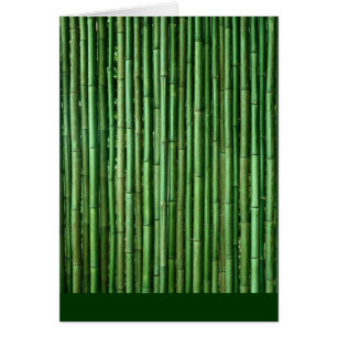 Bamboo