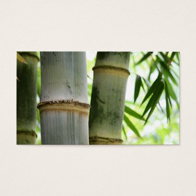 Bamboo (Front)