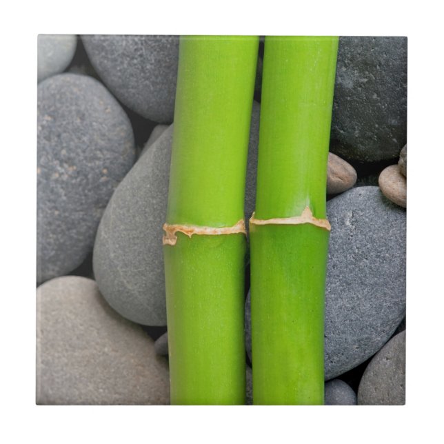 Bamboo and pebble tile (Front)