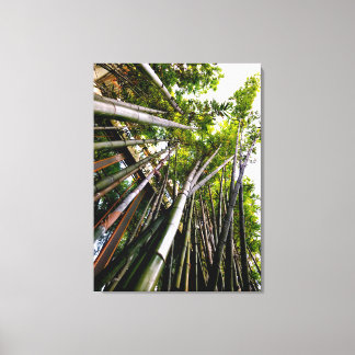 BAMBOO ART CANVAS PRINT