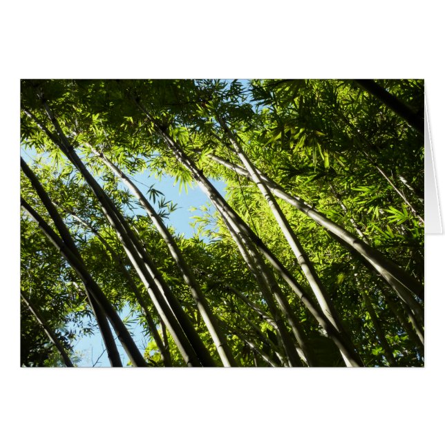 Bamboo Botanical Nature (Front Horizontal)