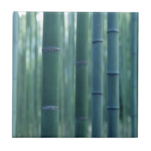 Bamboo Break Tile