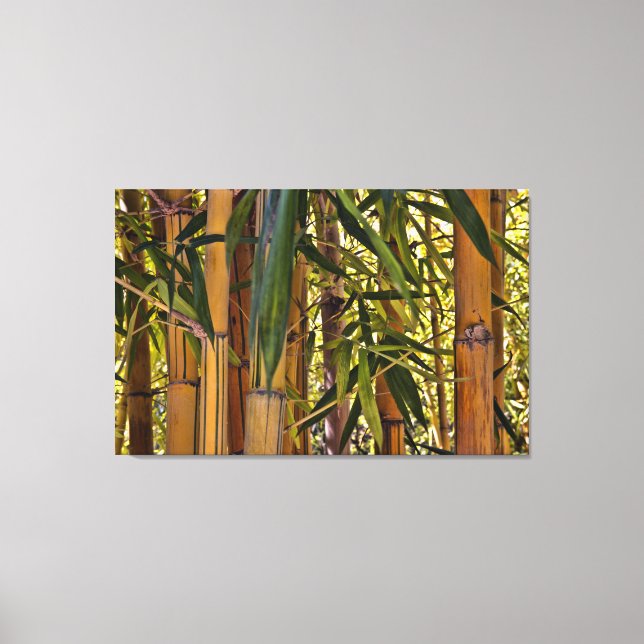 Bamboo Canvas Print (Front)