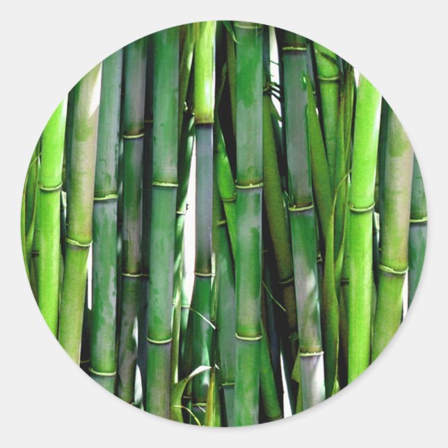 BAMBOO CLASSIC ROUND STICKER (Front)