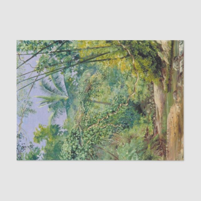 Bamboo, Cocoa Nut Trees, Bath Valley, Jamaica Tissue Paper (Front)
