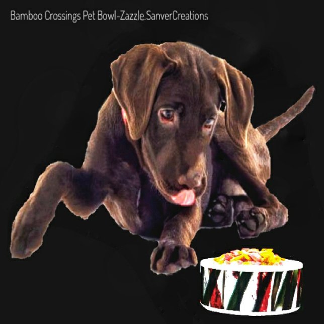 Bamboo Crossing           (Creator Uploaded)