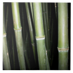 Bamboo Design Wall Tile