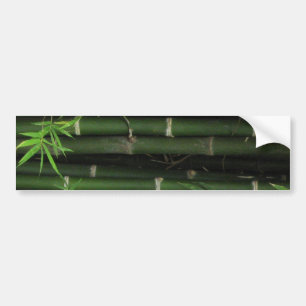 Bamboo ... Fao Rai, Nong Khai, Isaan, Thailand Bumper Sticker