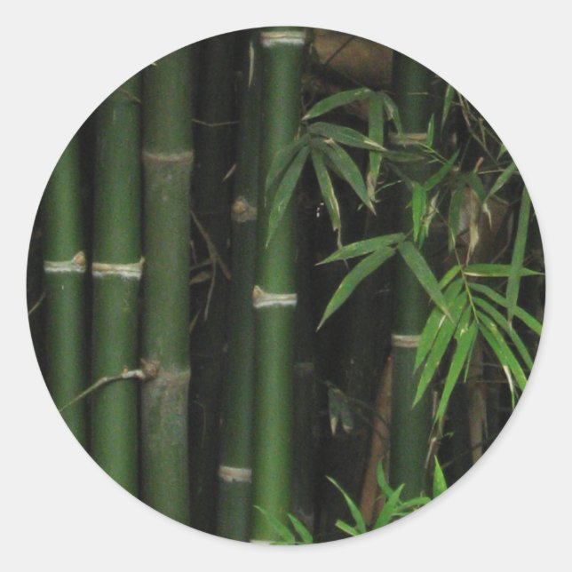 Bamboo ... Fao Rai, Nong Khai, Isaan, Thailand Classic Round Sticker (Front)