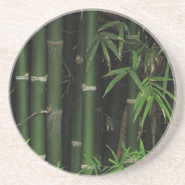 Bamboo ... Fao Rai, Nong Khai, Isaan, Thailand Coaster (Front)
