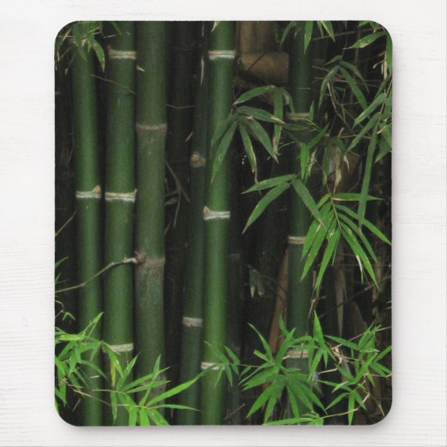Bamboo ... Fao Rai, Nong Khai, Isaan, Thailand Mouse Mat (Front)