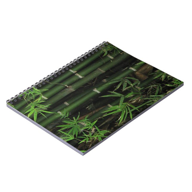 Bamboo ... Fao Rai, Nong Khai, Isaan, Thailand Notebook (Left Side)