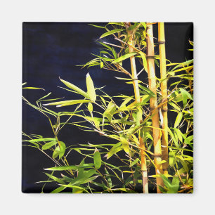 Bamboo Foliage Tropical Art On Black Magnet
