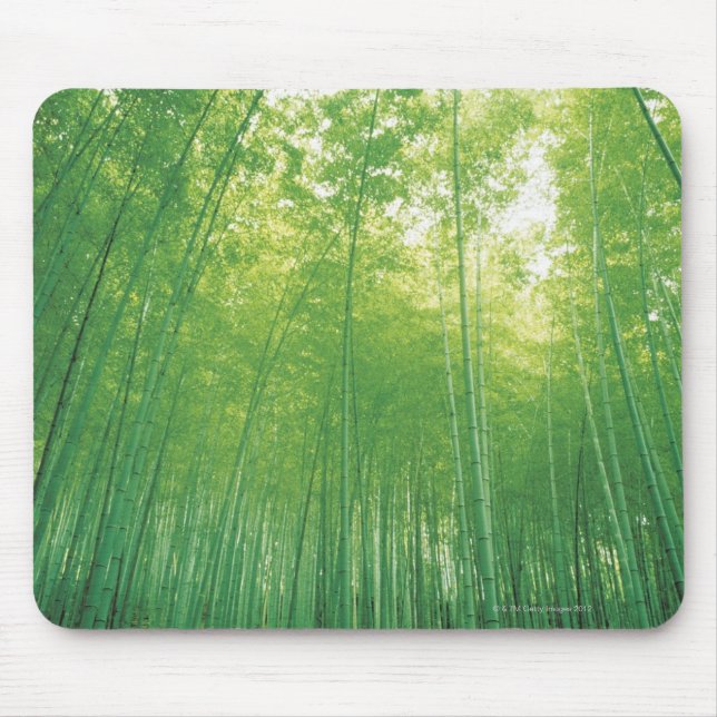 Bamboo Forest 2 Mouse Mat (Front)