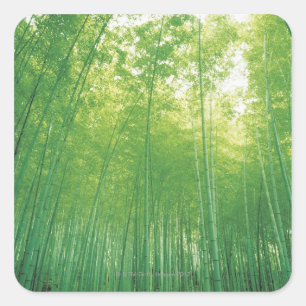 Bamboo Forest 2 Square Sticker