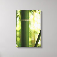 Bamboo Forest (Canvas)