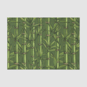 Bamboo forest in green tissue paper
