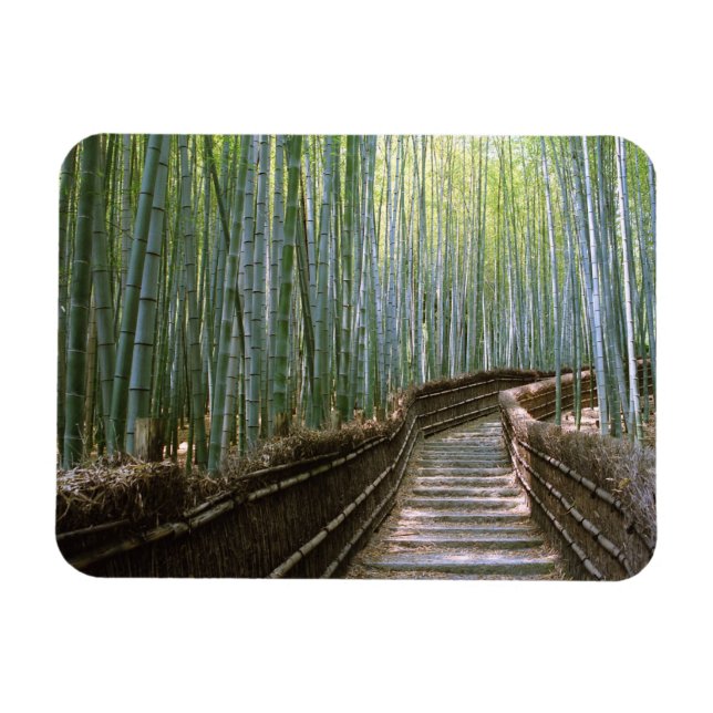 Bamboo Forest in Kyoto  Magnet (Horizontal)