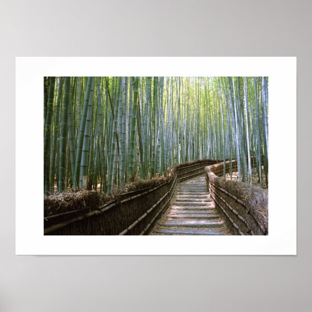 Bamboo Forest: Kyoto, Japan Poster (Front)