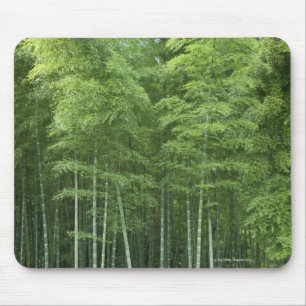 Bamboo Forest Mouse Mat