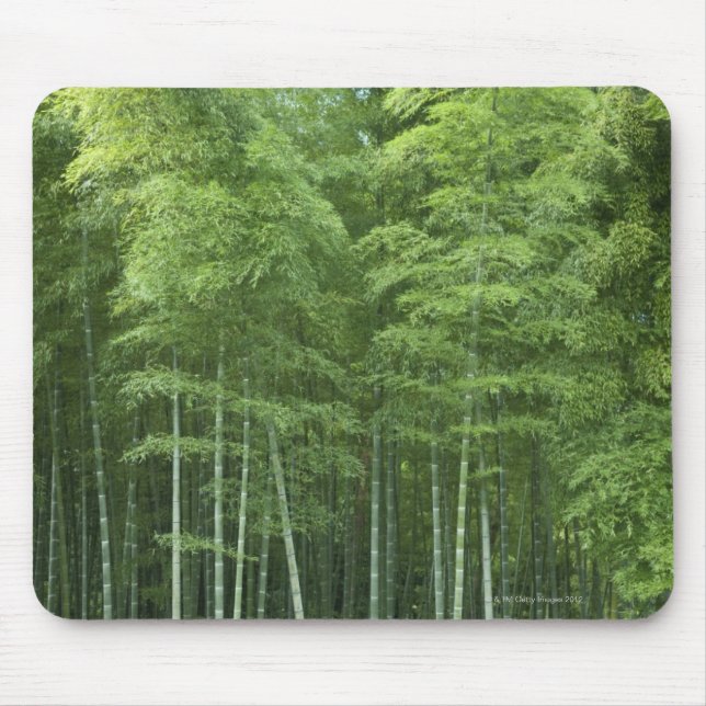 Bamboo Forest Mouse Mat (Front)