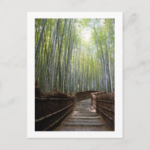 Bamboo Forest Path: Sagano, Kyoto Postcard