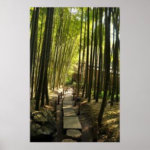 Bamboo Forest Poster