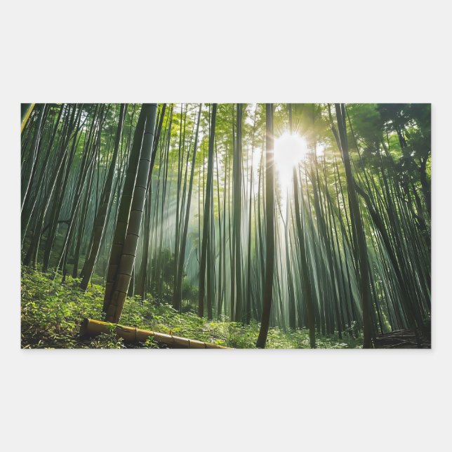 Bamboo Forest Rectangular Sticker (Front)