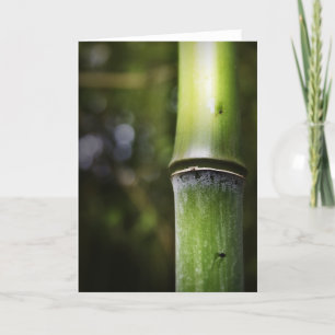 Bamboo Greeting Card (colour)