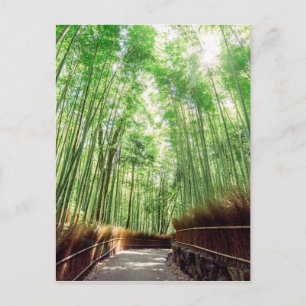 Bamboo Grove   Arashiyama, Kyoto, Japan Postcard