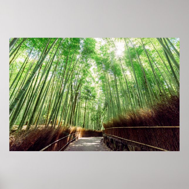 Bamboo Grove | Arashiyama, Kyoto, Japan Poster (Front)