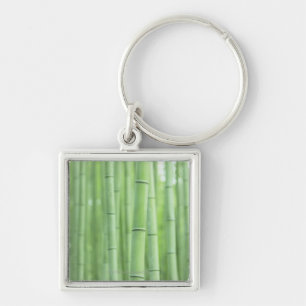 Bamboo Grove Key Ring