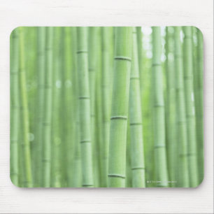 Bamboo Grove Mouse Mat