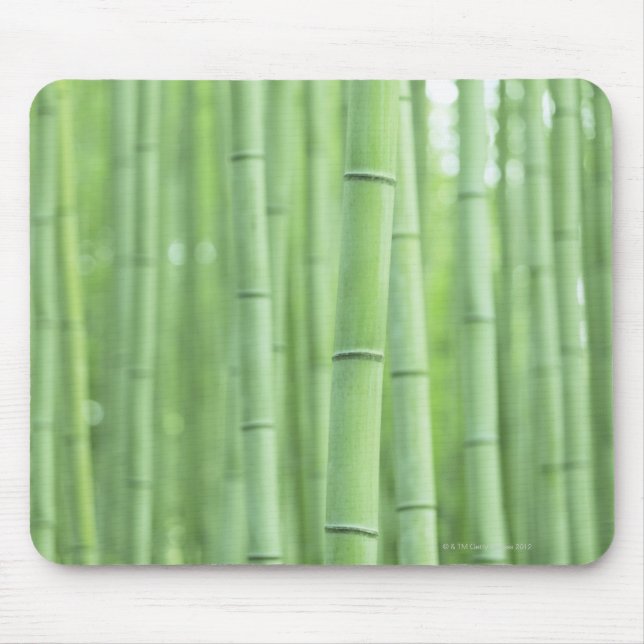 Bamboo Grove Mouse Mat (Front)