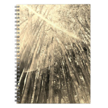 Bamboo in Sepia Notebook
