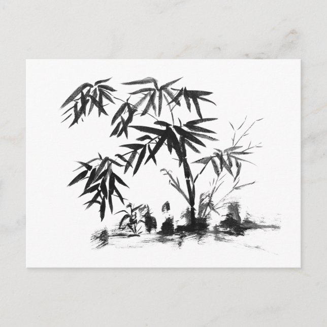 Bamboo in Water Postcard (Front)