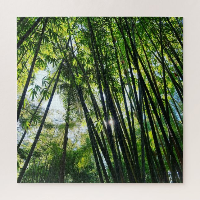 Bamboo jungle green foliage photo jigsaw puzzle (Vertical)