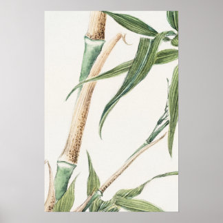 Bamboo Leaf Vintage Art Poster