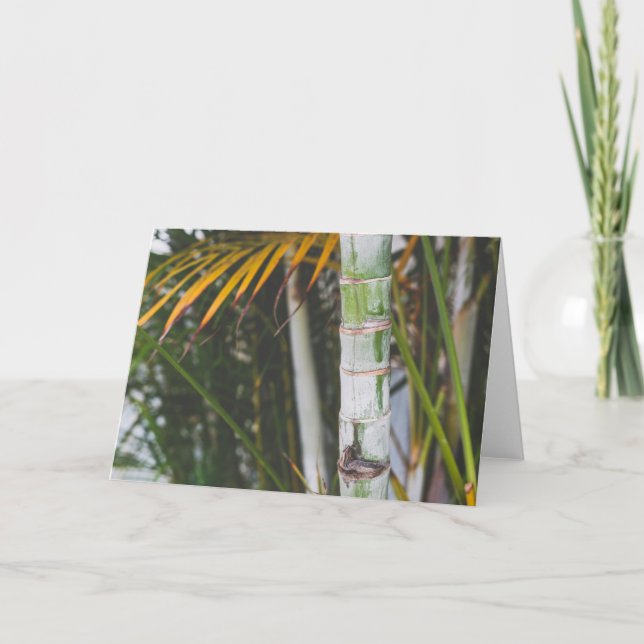 Bamboo of Mexico Card (Front)