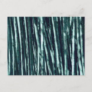 Bamboo Postcard