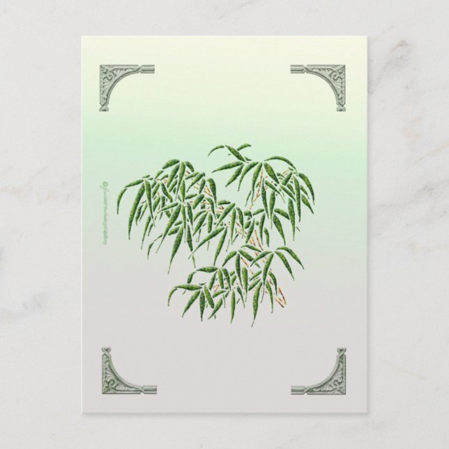 Bamboo Postcard (Front)