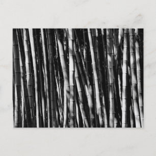 Bamboo Postcard