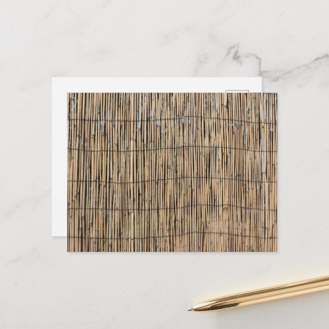 Bamboo Postcard (Front/Back In Situ)