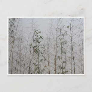 bamboo postcard