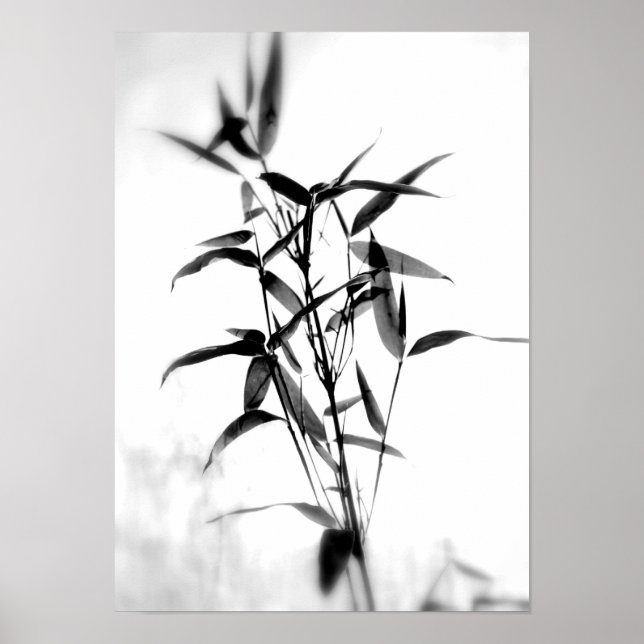 Bamboo Sillouette Poster (Front)
