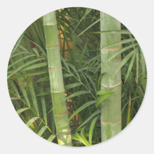 bamboo stickers